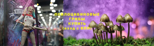 ПСИЛОЦИБИНОВЫЕ ГРИБЫ Кулебаки