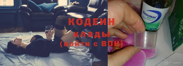 ПСИЛОЦИБИНОВЫЕ ГРИБЫ Кулебаки