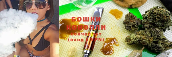ПСИЛОЦИБИНОВЫЕ ГРИБЫ Кулебаки