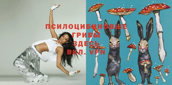 ПСИЛОЦИБИНОВЫЕ ГРИБЫ Кулебаки
