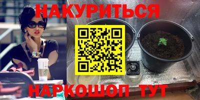 шишки Кинель