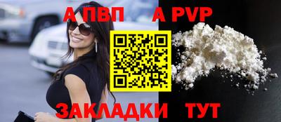 не бодяженный Кингисепп