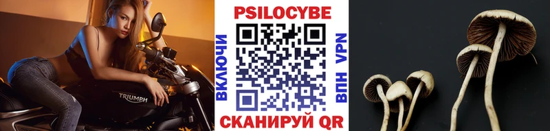 Галлюциногенные грибы прущие грибы  Курчатов 