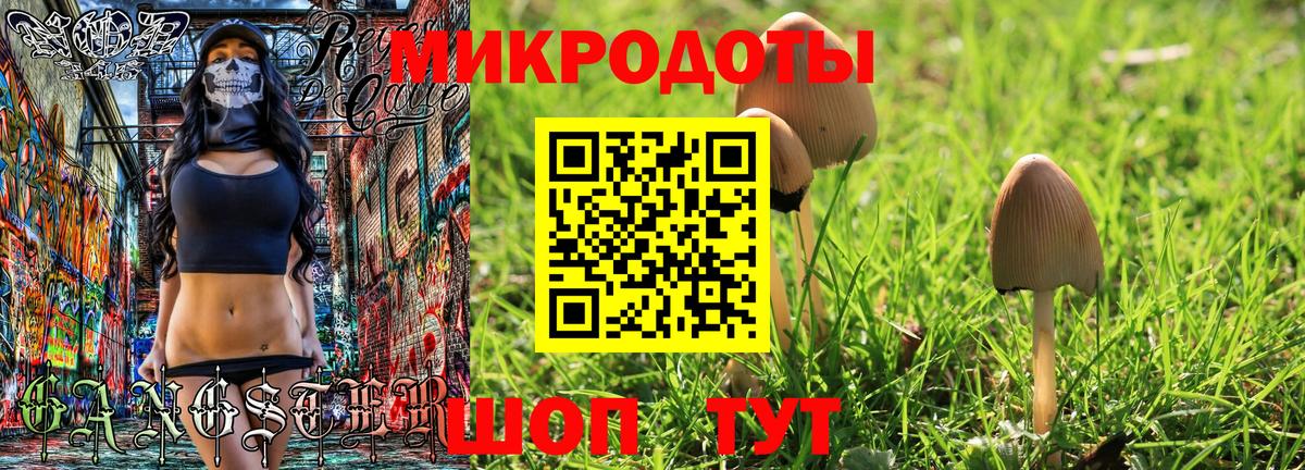 Галлюциногенные грибы мухоморы  что такое   Курчатов  Вход с VPN 